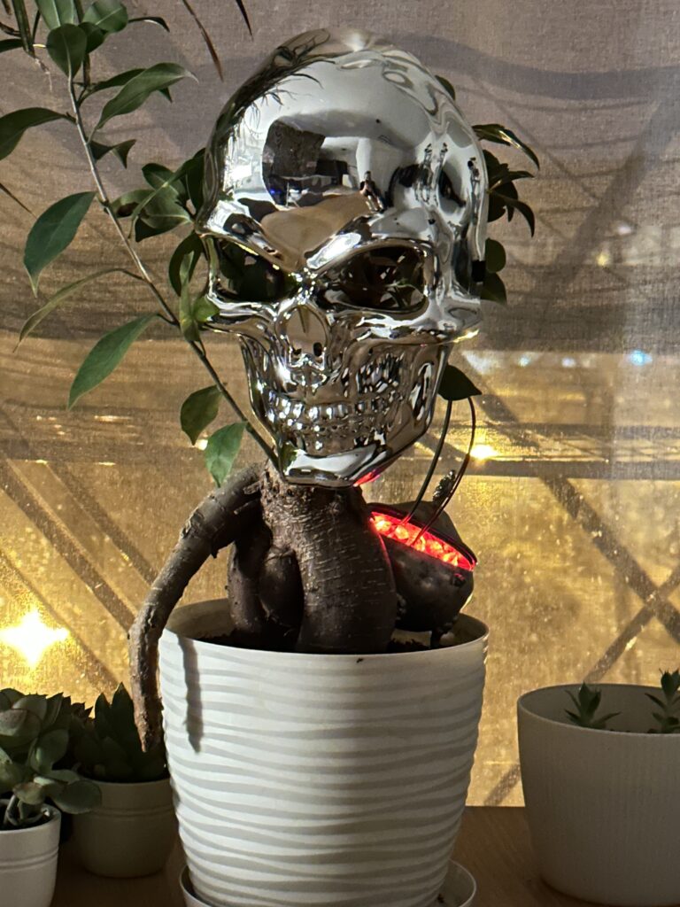 drzewiec powoli rozpala już piece